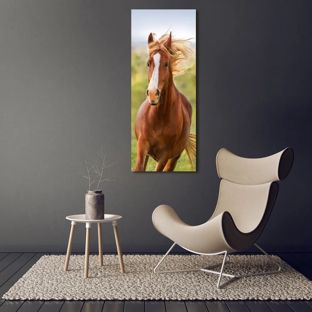 Tablou acrilic Un cal în galop
