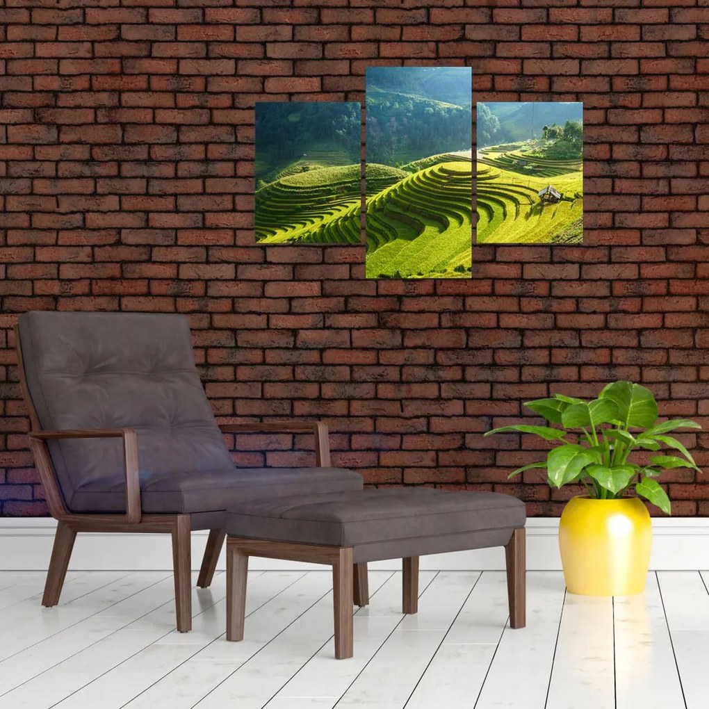 Tablou - Concert Terase de orez (90x60 cm)