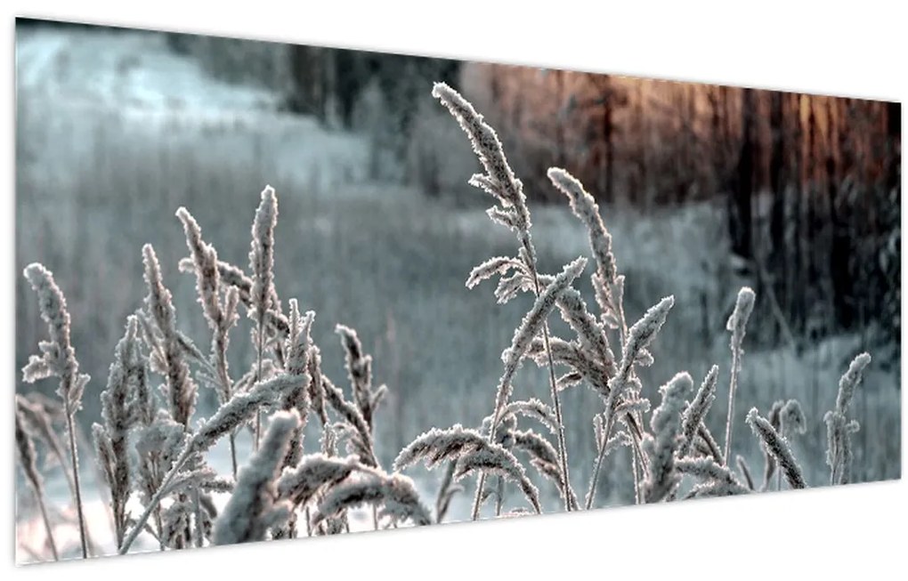 Tablou - Pajiște înghețată (120x50 cm)