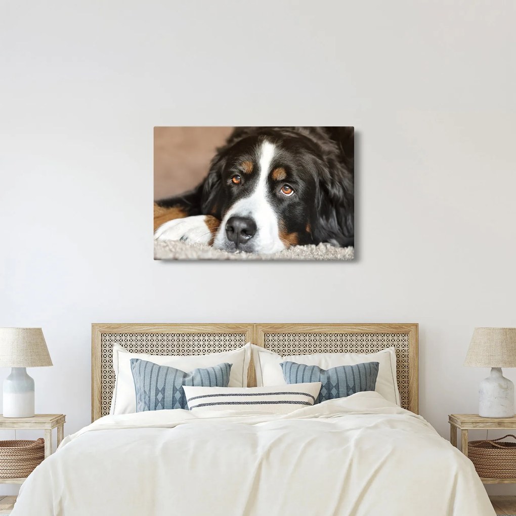 Tablou cu câine (90x60 cm)
