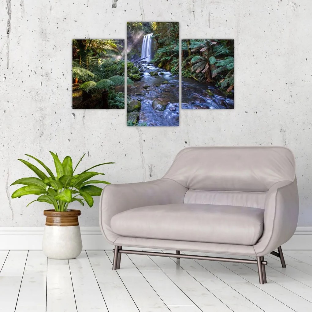 Tablou cu pădurea ploilor din Austalia (90x60 cm)