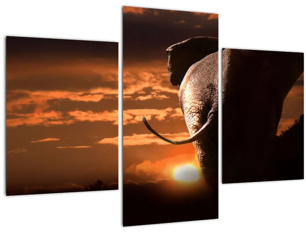 Tablou cu elefant (90x60 cm)