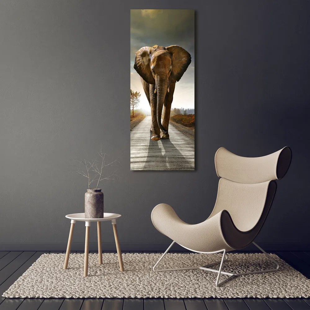 Tablou pe pânză canvas Elefant de mers pe jos