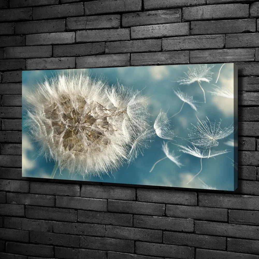 Tablou pe pânză canvas Păpădia