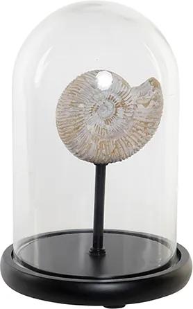 Decoratiune Fosil din sticla si lemn 26.5 cm