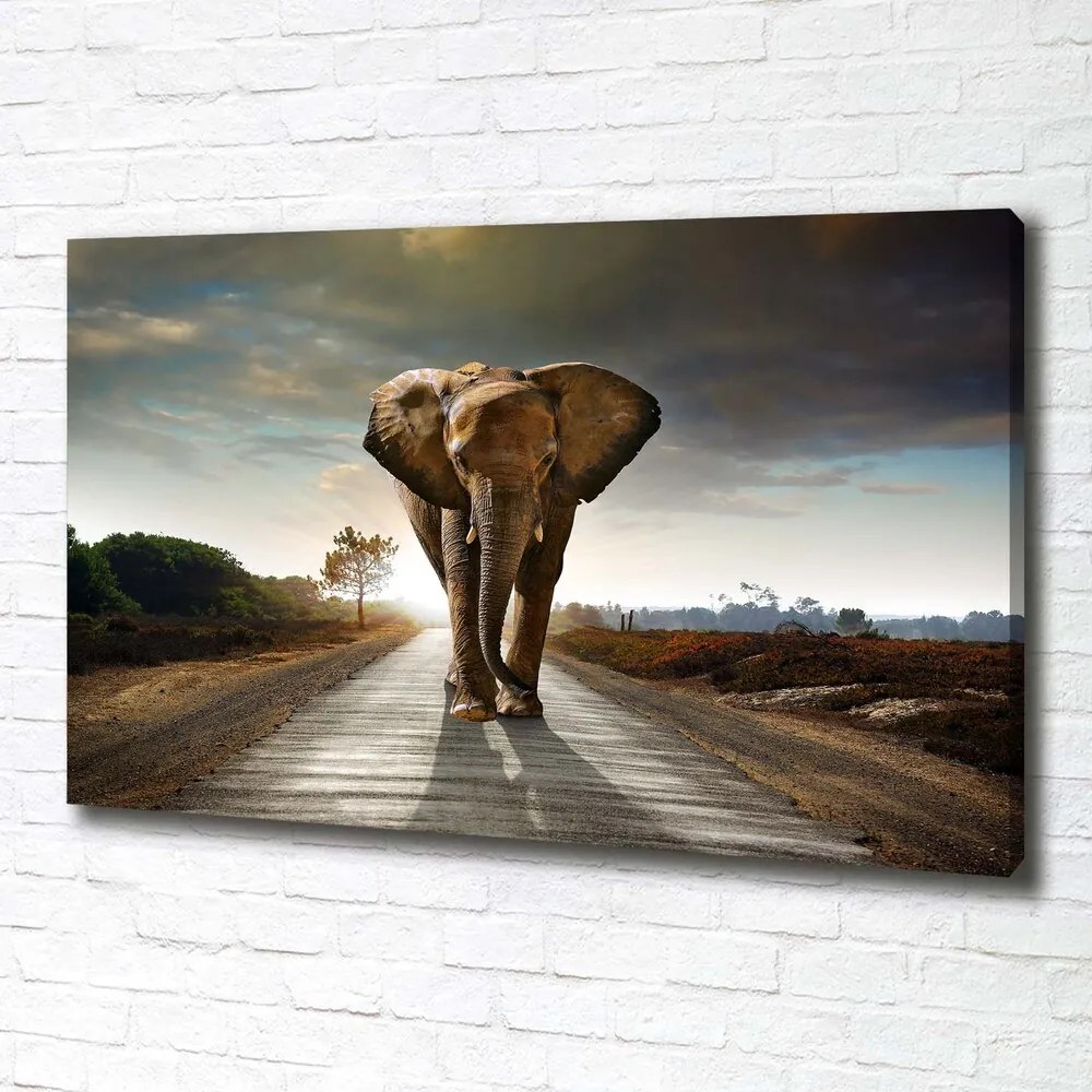 Print pe canvas Elefant de mers pe jos