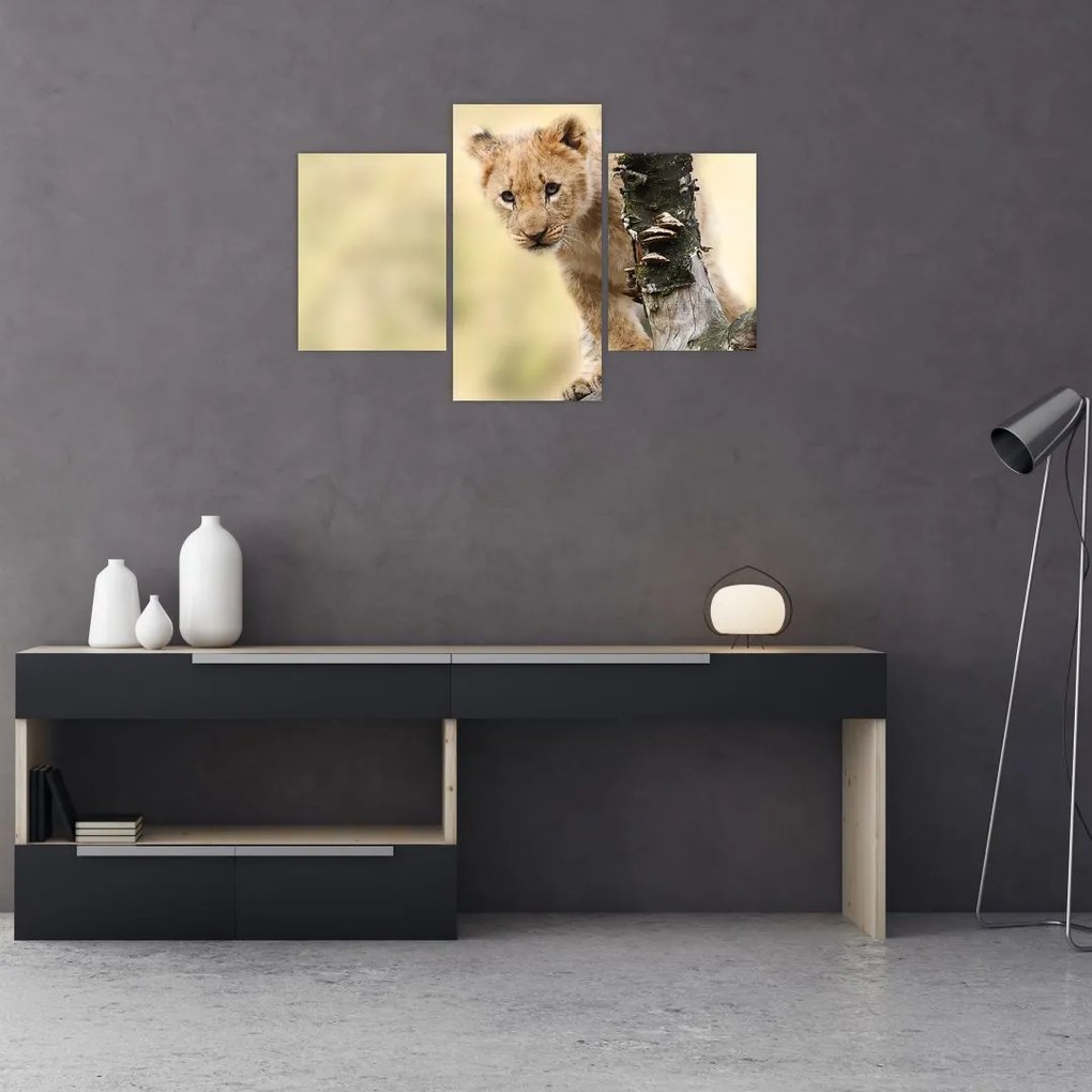 Tablou cu pui de leu (90x60 cm)
