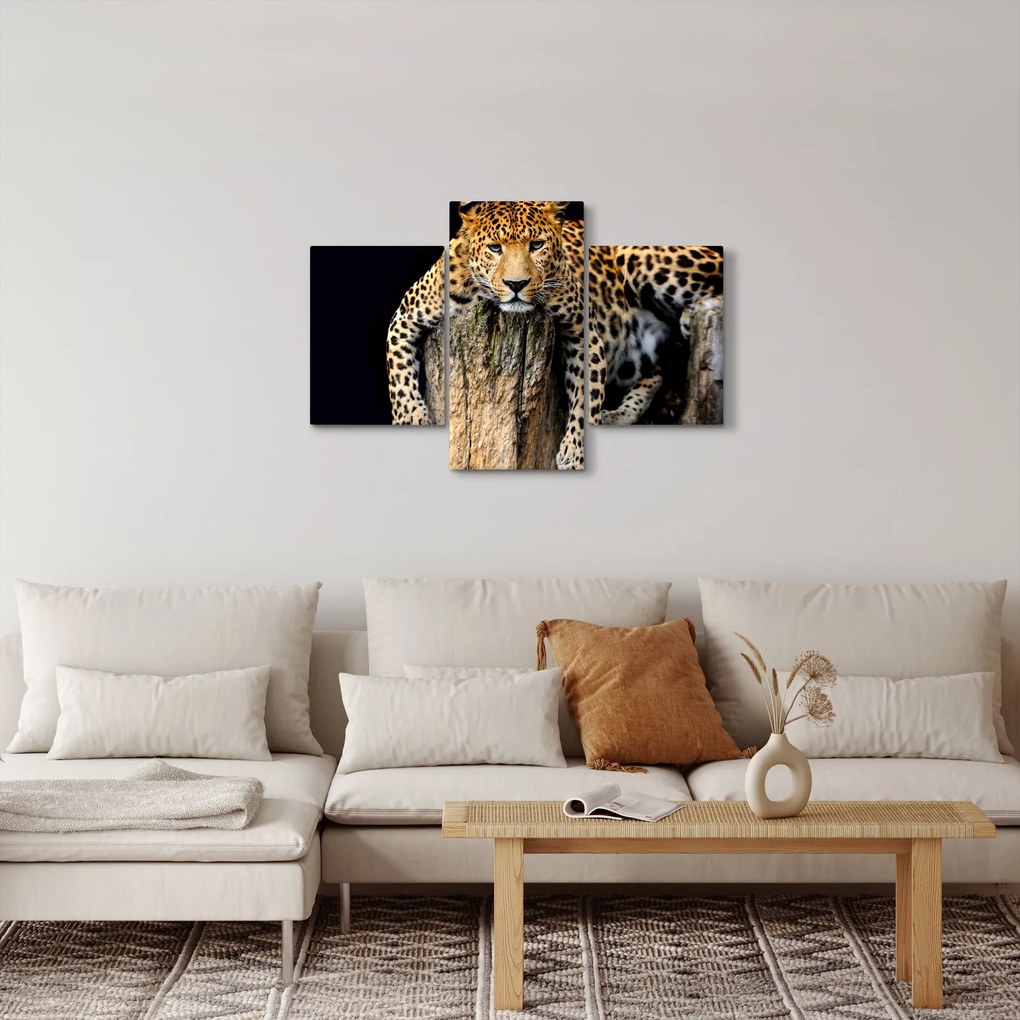 Tablou - Ghepard (90x60 cm)
