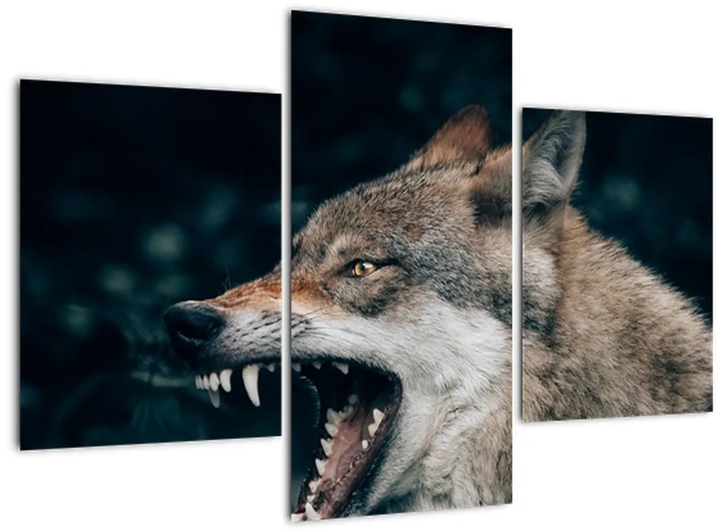 Tablou cu lup (90x60 cm)