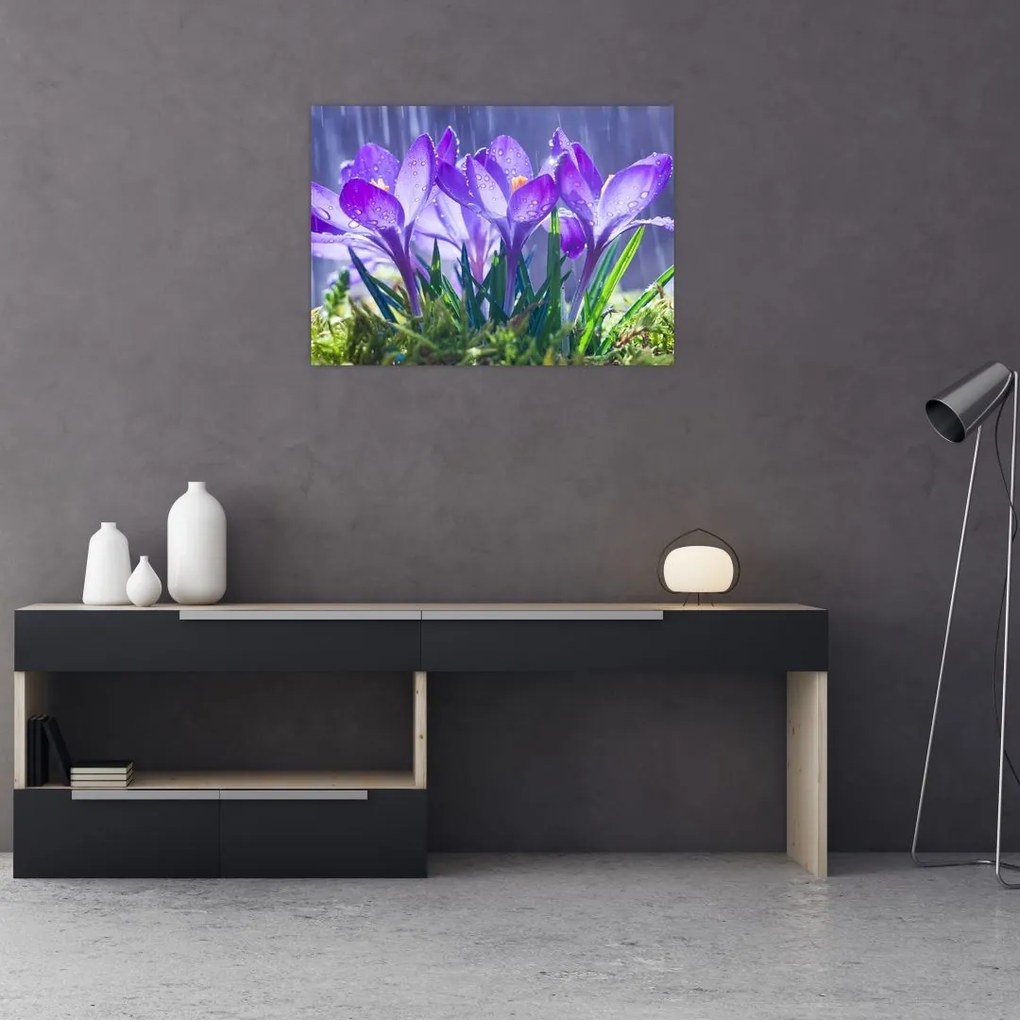 Tablou cuflori în ploaie (70x50 cm)