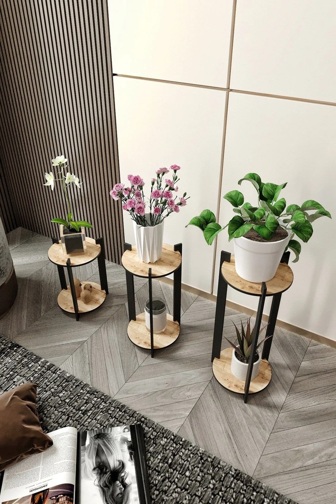 Ghiveci Florissimo (stejar).. Promo -6%. 1127785