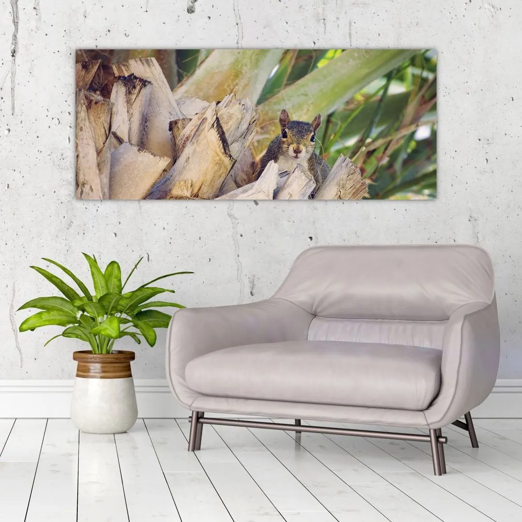 Tablou cu veverița în copaci (120x50 cm)