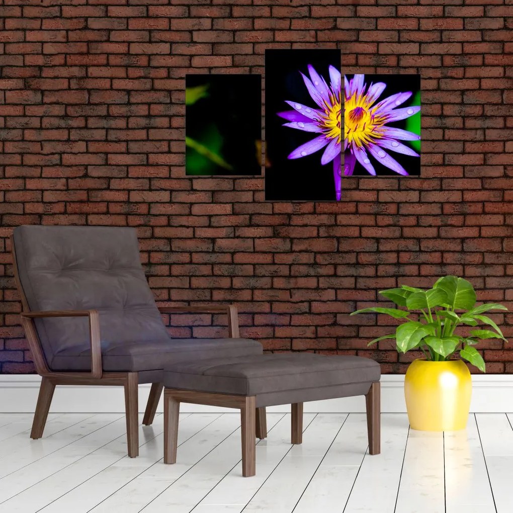 Tablou cu floare (90x60 cm)