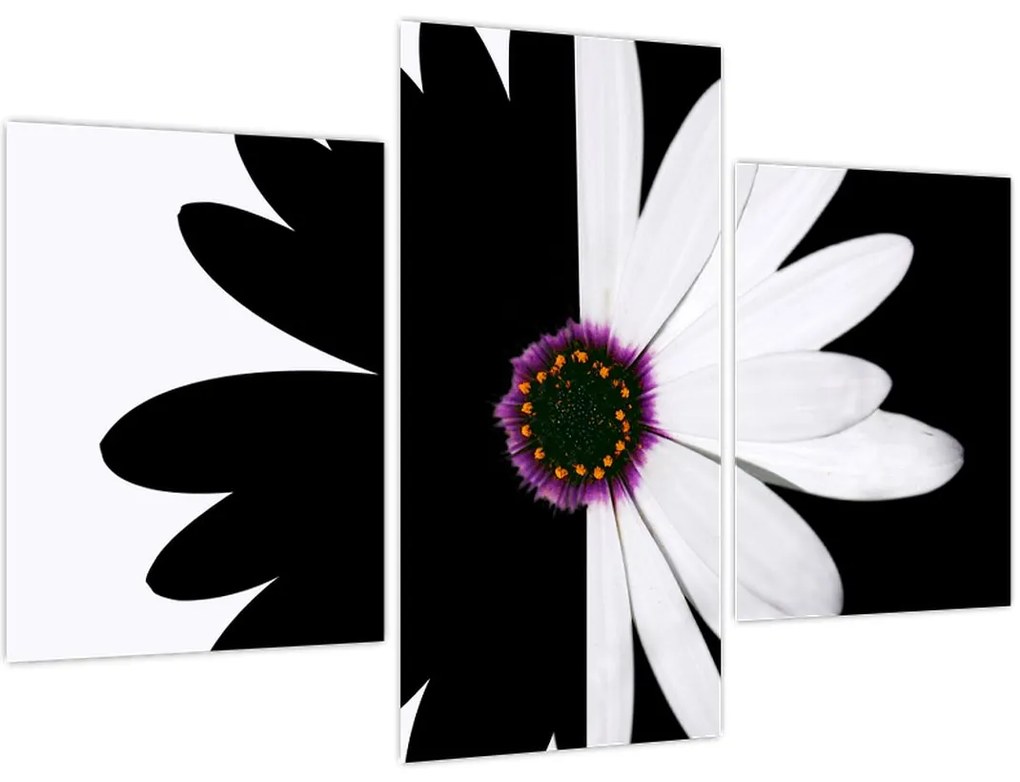 Tablou - Floare, alb- negru (90x60 cm)
