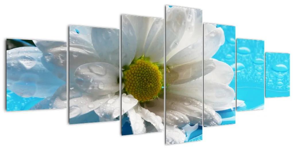 Tablou - margaretă floare (210x100cm)