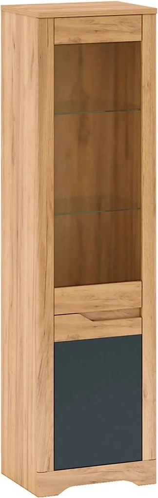 Vitrina FIDEL A1, stejar artisan/gri grafit, PAL laminat/sticla, 55x42
