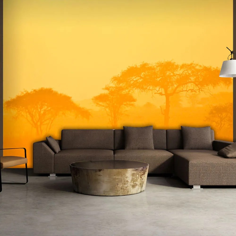 Fototapet Bimago - Orange savanna + Adeziv gratuit 200x154 cm