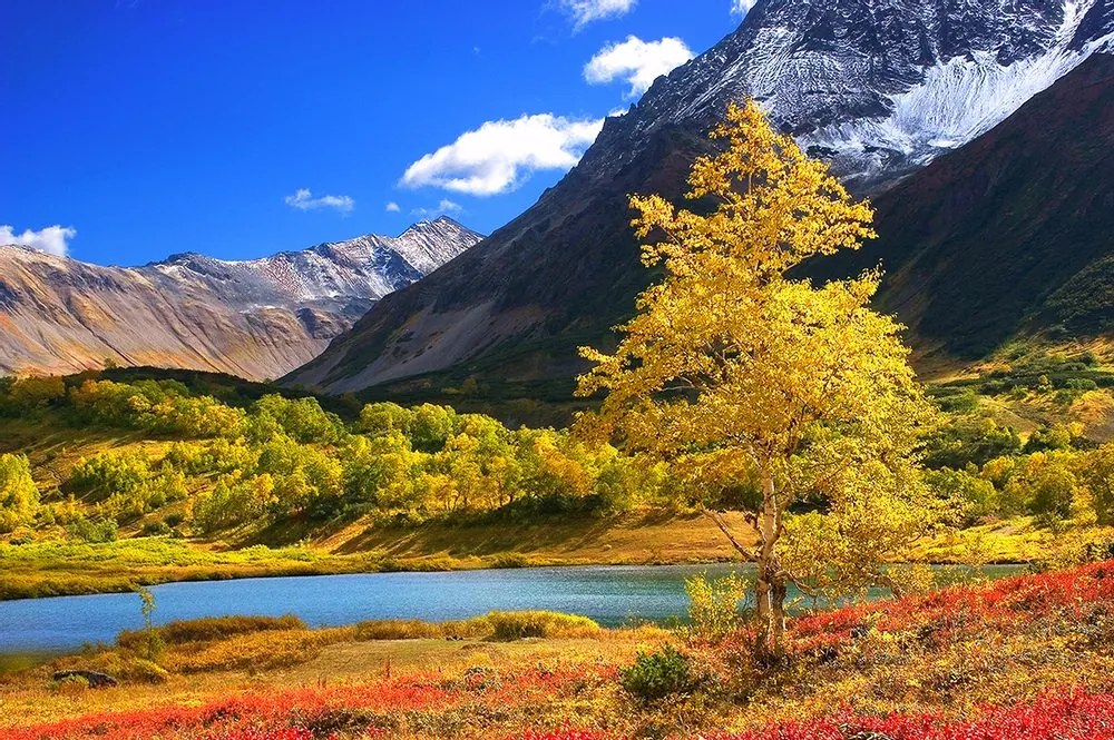 Fototapet autoadeziv natură minunată în Kamchatka