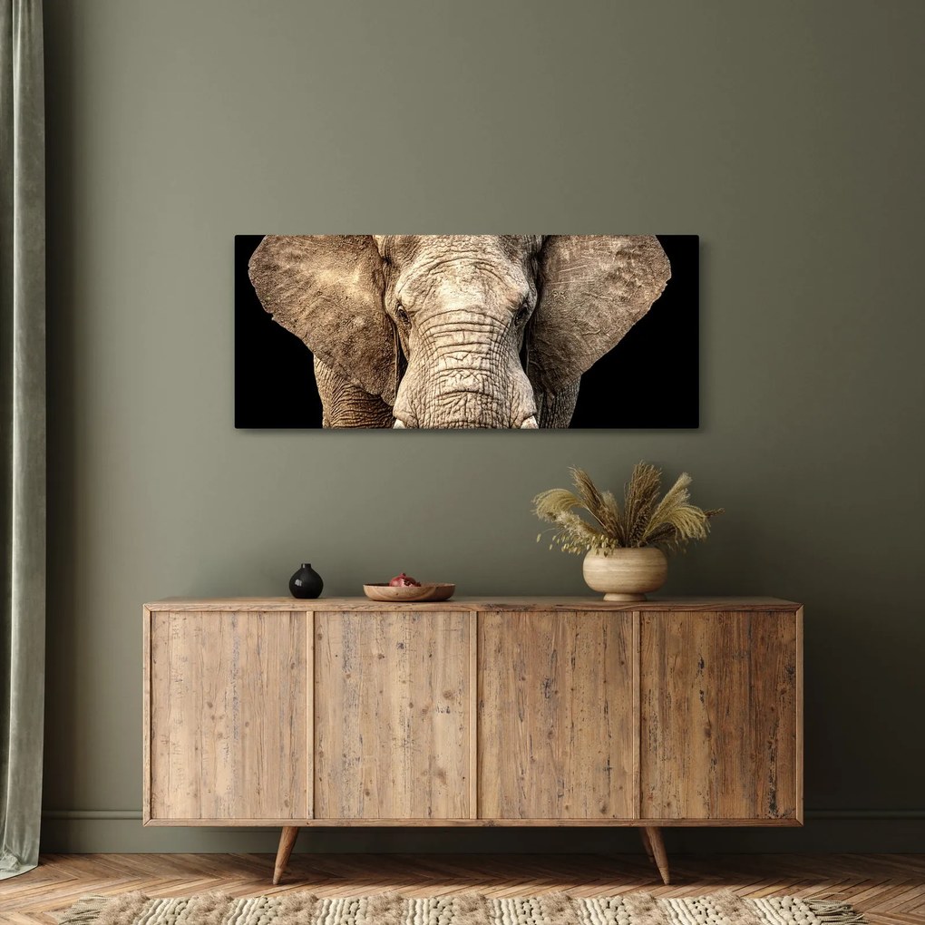 Tablou - Elefant african (120x50 cm)
