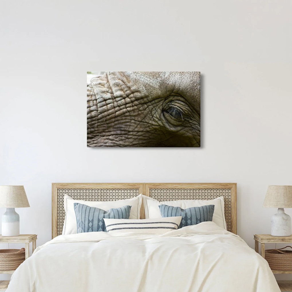 Tablou - Prim-planul ochiului de elefant vechi (90x60 cm)