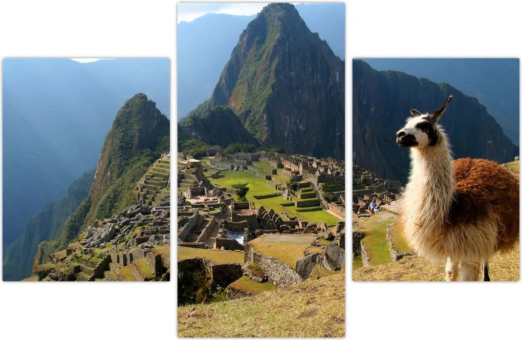 Tablou - Lama și Machu Picchu (90x60 cm)