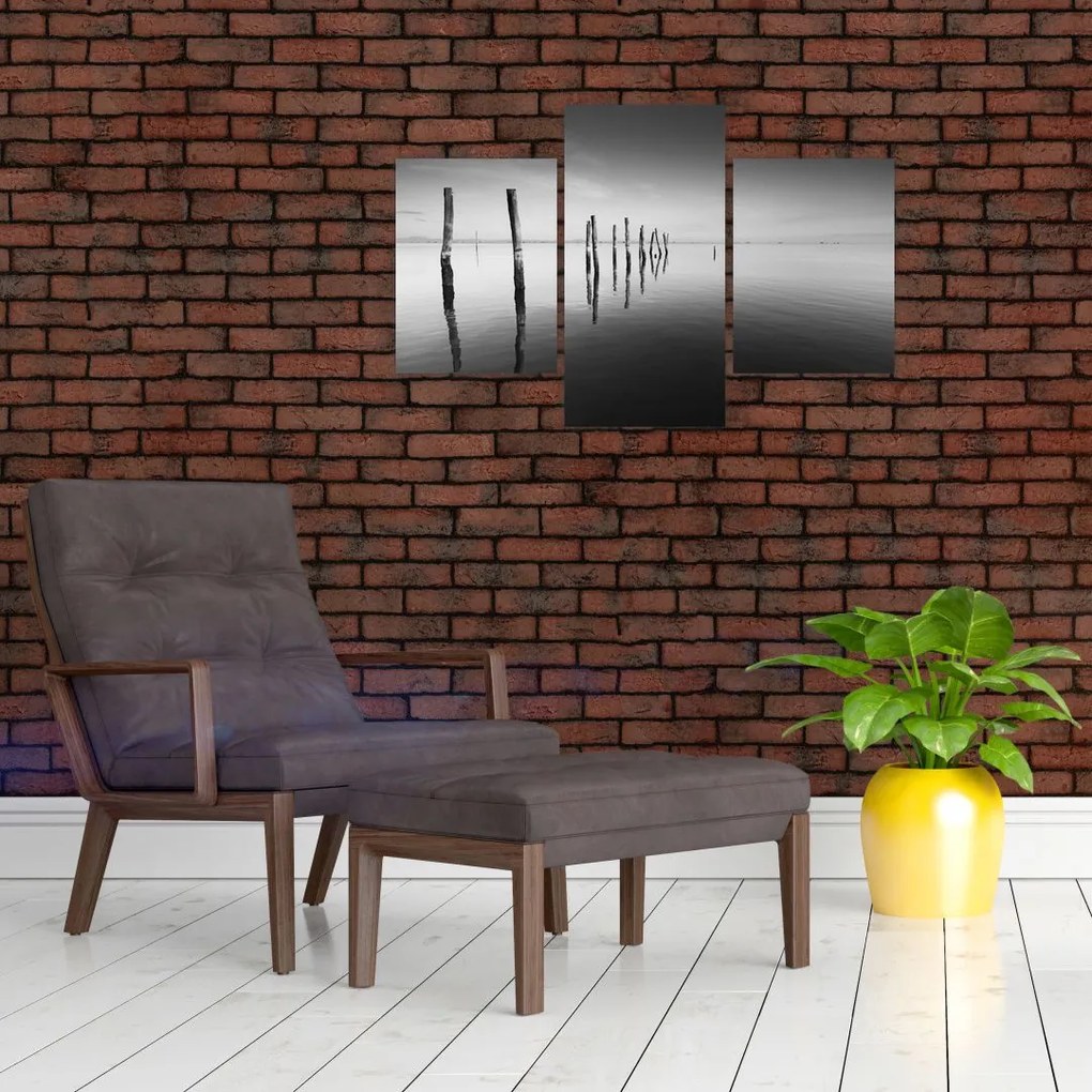 Tablou cu nivelul de lac alb negru (90x60 cm)