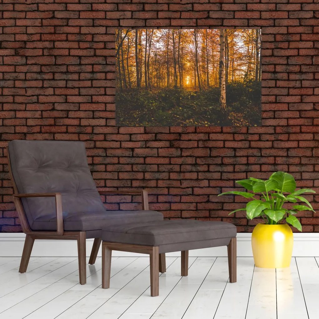 Tablou - Pădurea toamna (90x60 cm)