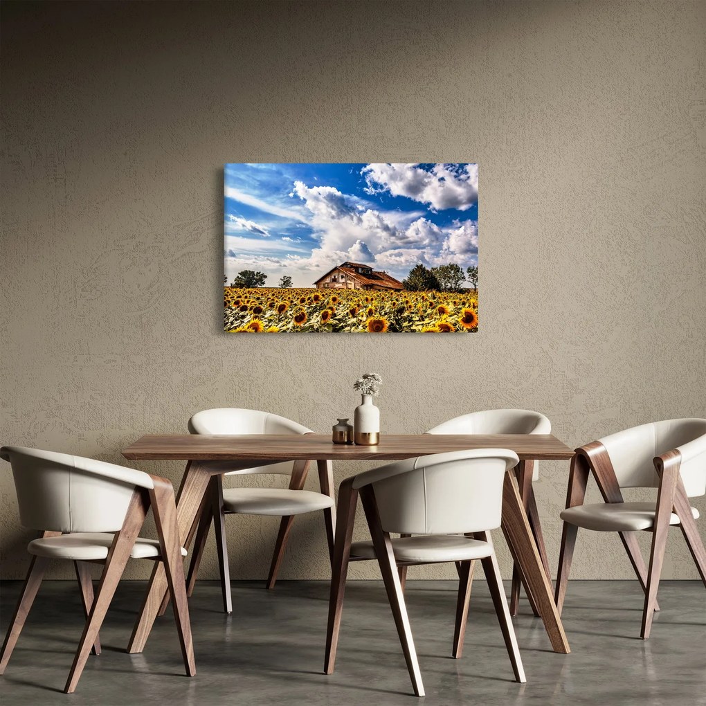 Tablou cu câmp de floarea soarelui (90x60 cm)