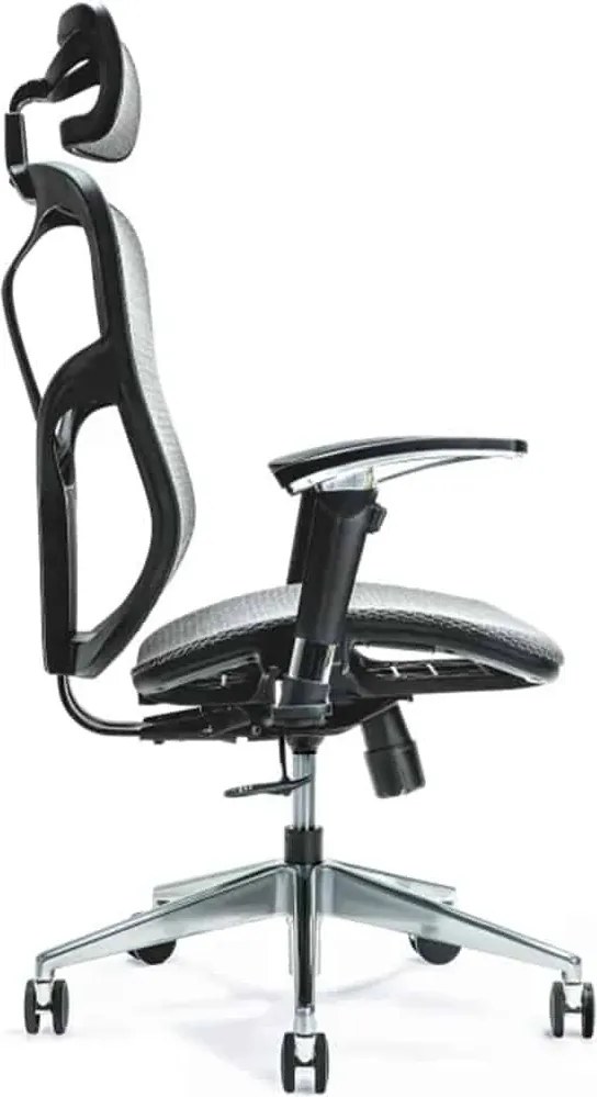 Scaun lemn masiv de birou ErgoFlex - Verde