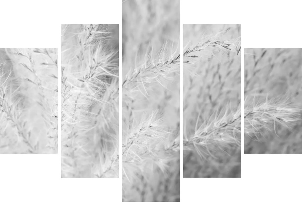 Tablou - Iarbă de pampas N⁰1 (150x105 cm)