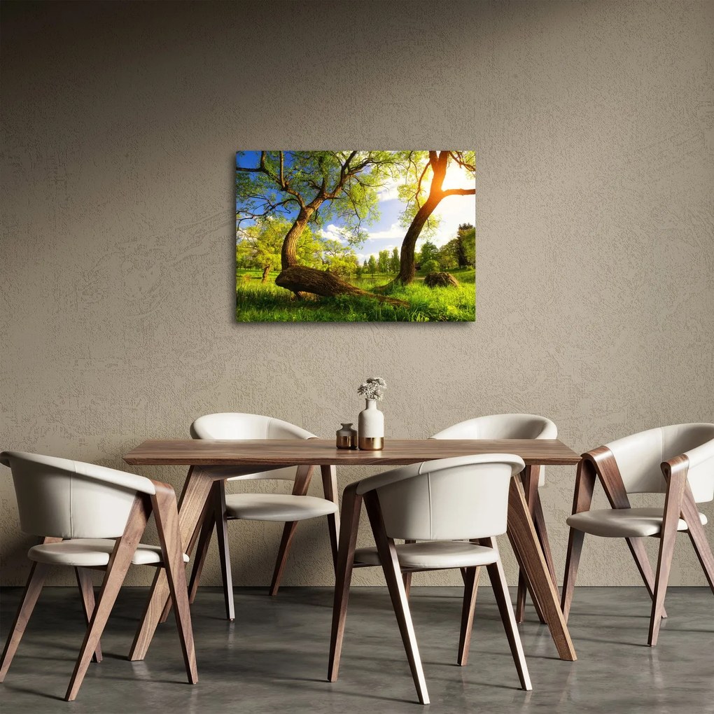 Tablou lunca ne primăvară (70x50 cm)