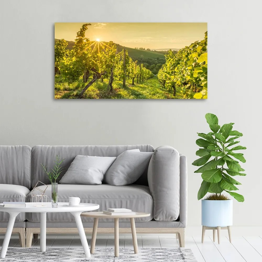 Print pe canvas Vie