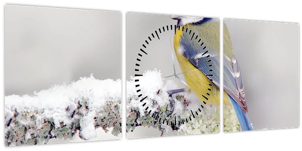 Tablou - Pițigoi (cu ceas) (90x30 cm)