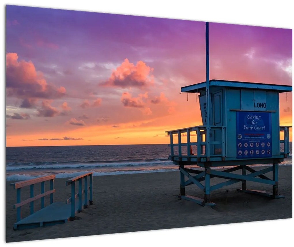 Tablou de pe plaja Santa Monica (90x60 cm)