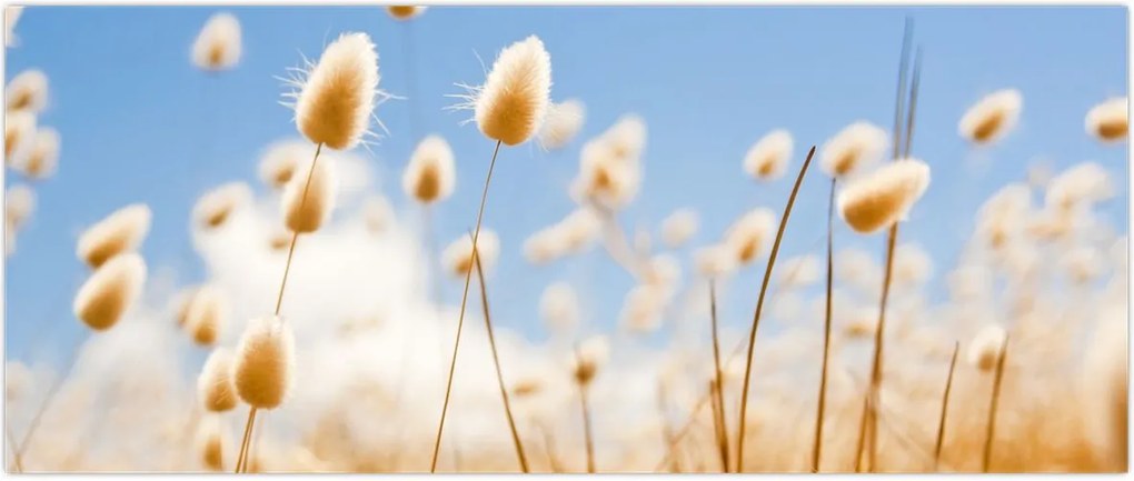 Tablou - Câmp de aur (120x50 cm)