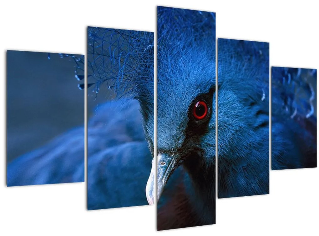 Tablou - Porumbel încoronat (150x105 cm)