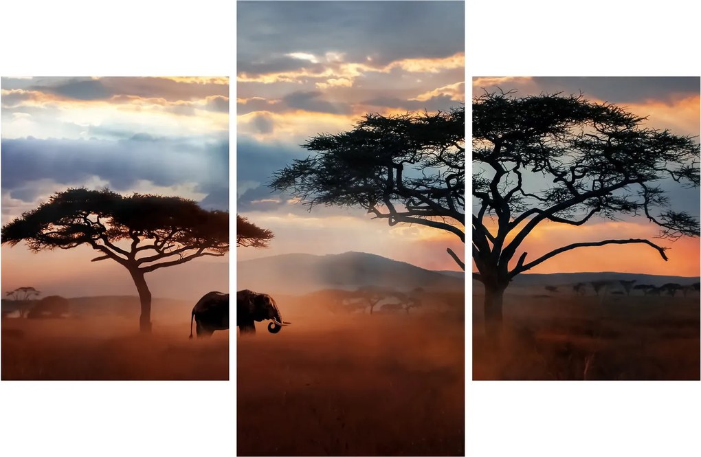 Tablou - Parcul Național Serengeti, Tanzania, Africa (90x60 cm)
