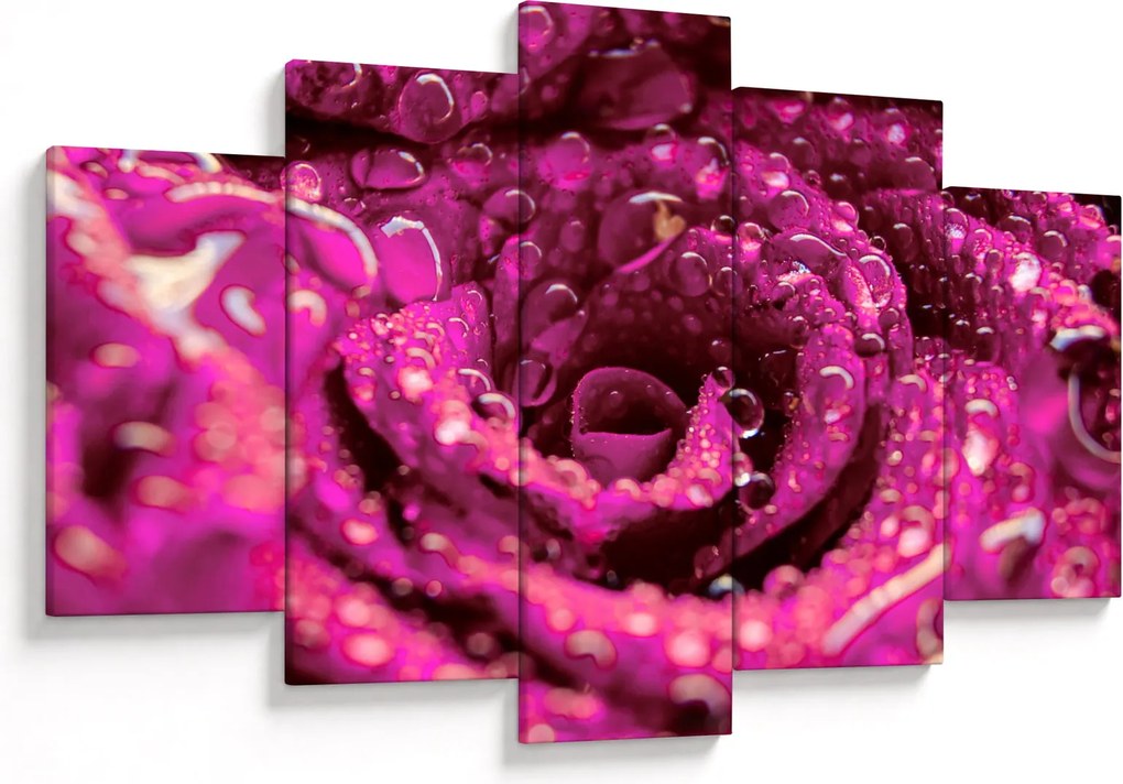 Tabloul cu floarea trandafirului roz (150x105 cm)