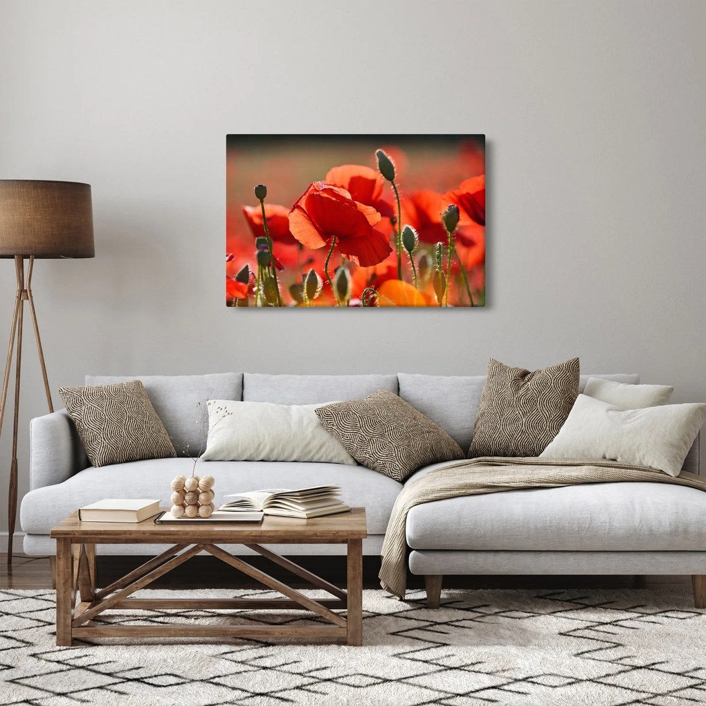 Tablou cu flori de maci (90x60 cm)