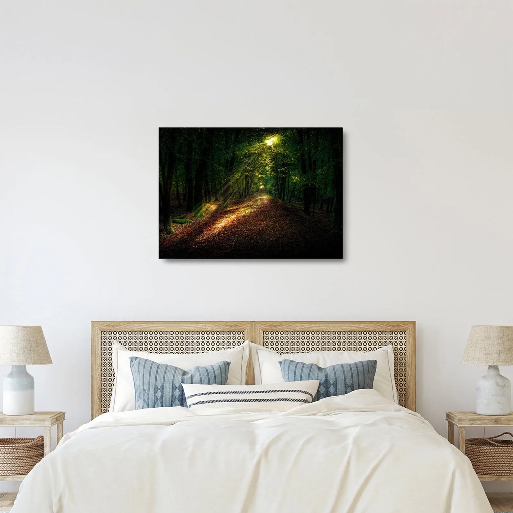 Tablou pe sticlă cu poteca prin pădure (70x50 cm)