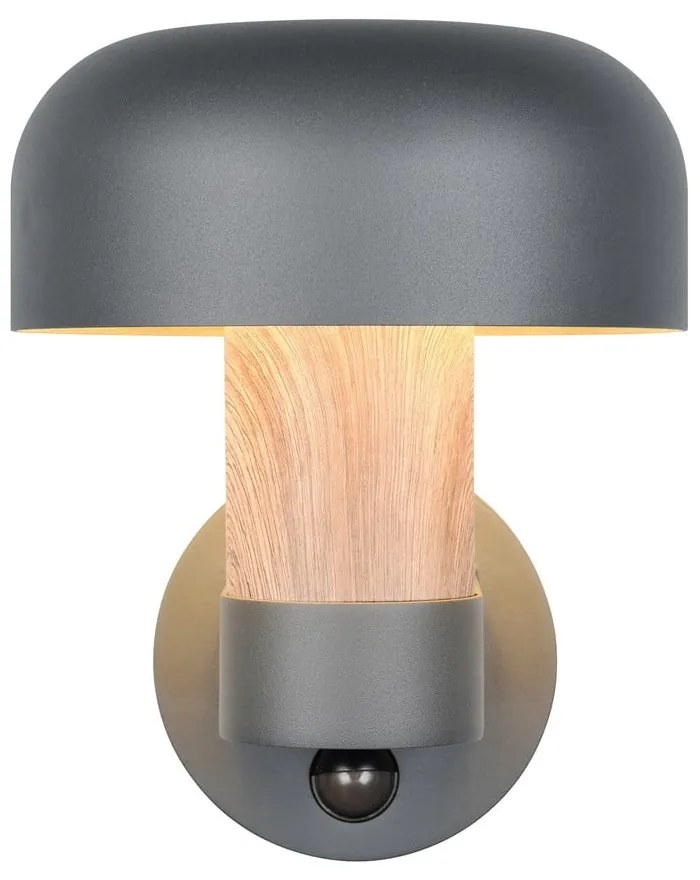 Corp de iluminat pentru exterior, de perete (înălțime 24,5 cm) Fraser – Trio