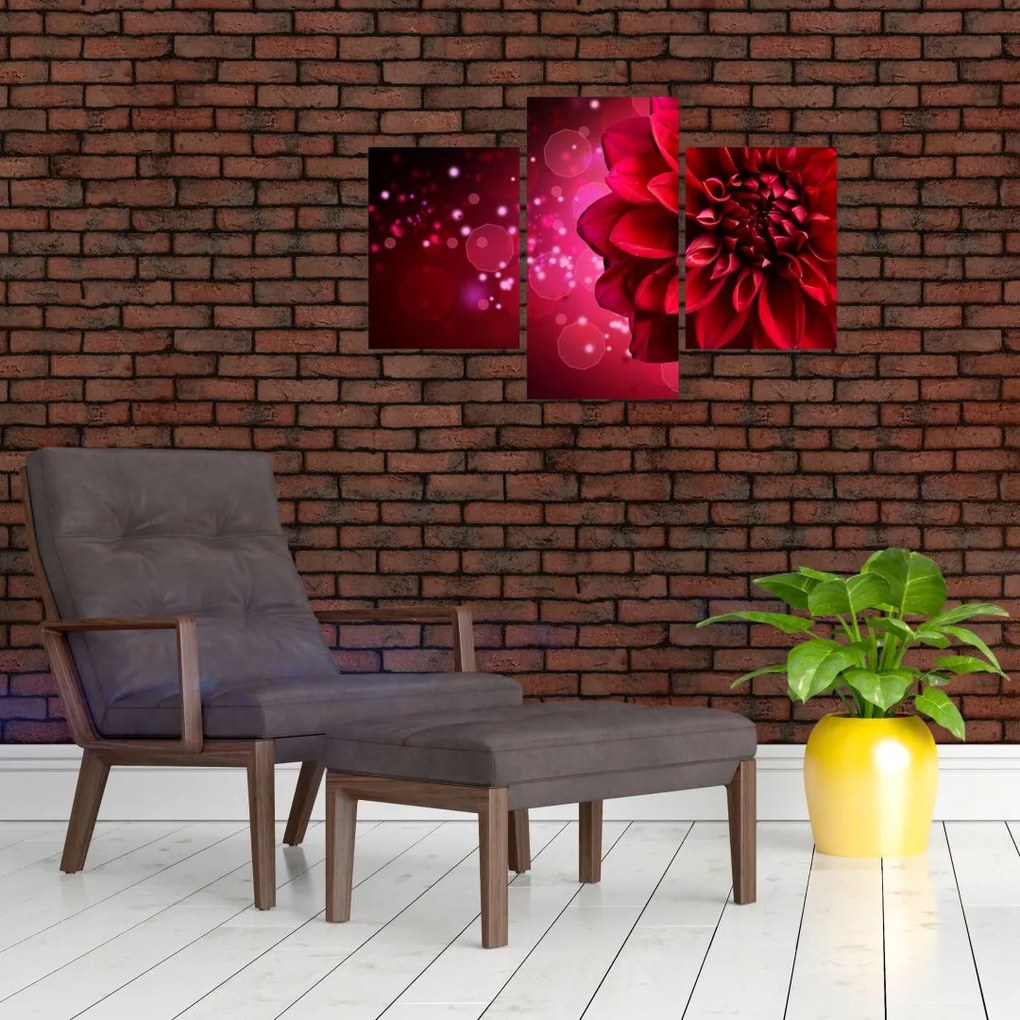 Tablou cu floare roșie (90x60 cm)