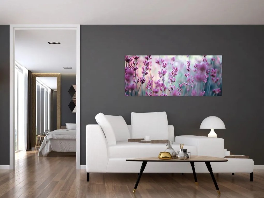 Tablou - Lavandă (120x50 cm)