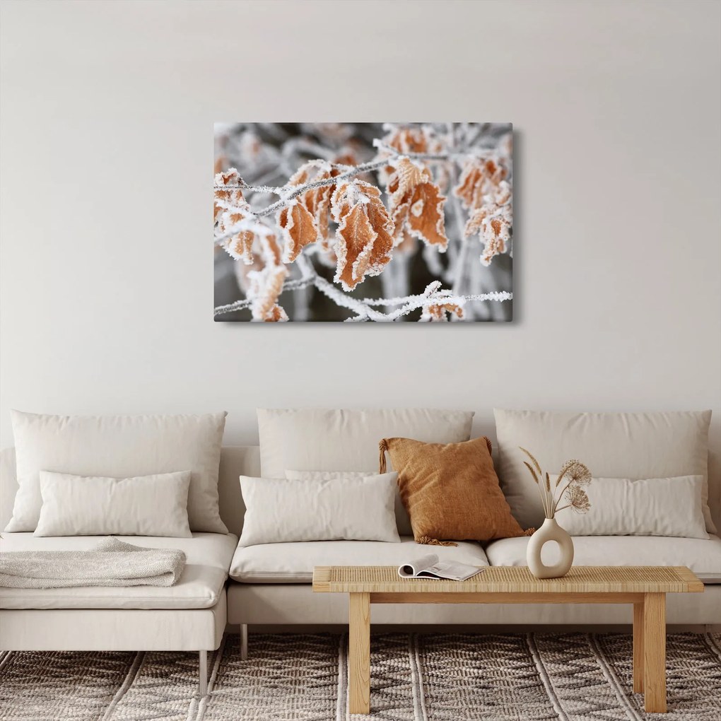 Tablou - Frunze înghețate (90x60 cm)