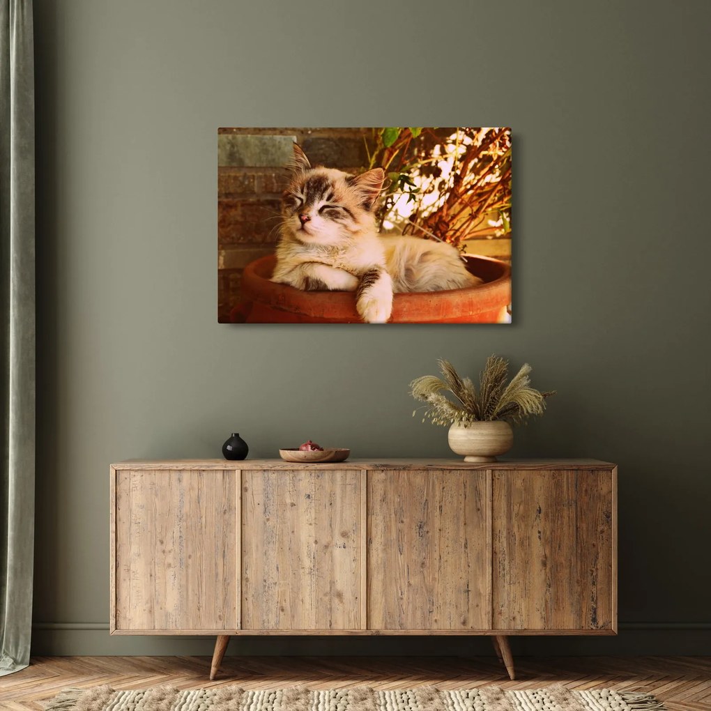 Tablou cu pisica în ghiveci (90x60 cm)