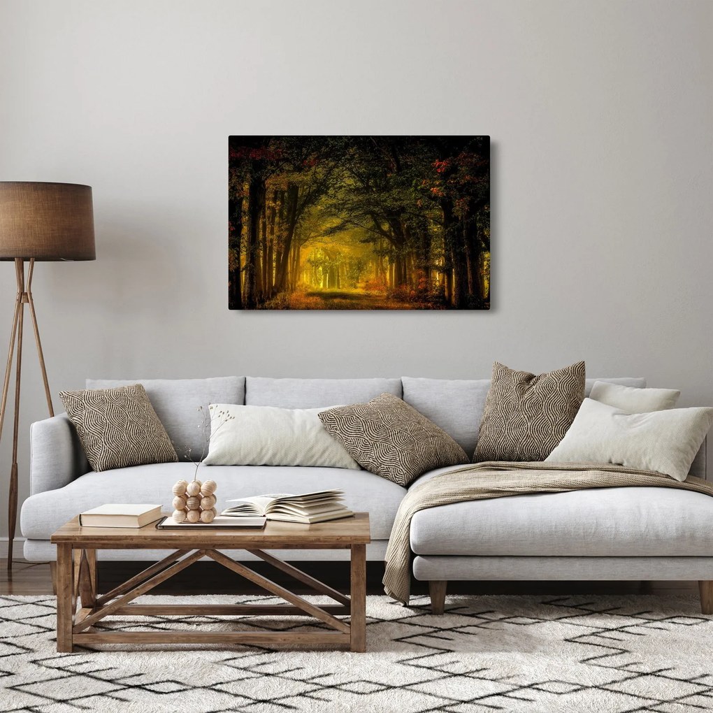 Tablou cu pădure (90x60 cm)