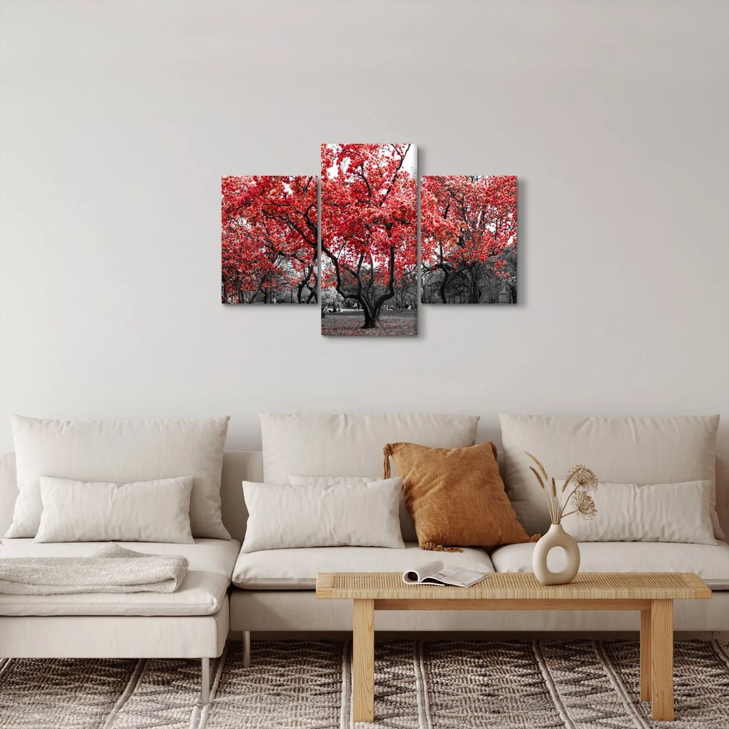 Tablou - Copacii roșii, Central Park, New York (90x60 cm)