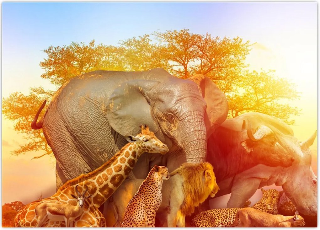 Tablou - Animale africane (70x50 cm)