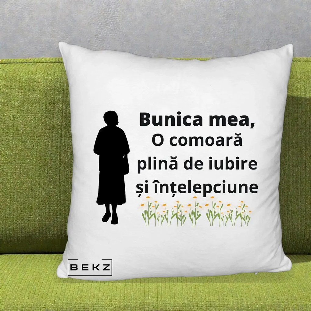 Cadou pentru Bunica - Perna Personalizata Bunica Mea Comoara Iubire Intelepciune Silueta cu Nepoata, 40x40 cm, Alb Pufos, Husa Detasabila, Perna Inclusa, BEKZ®