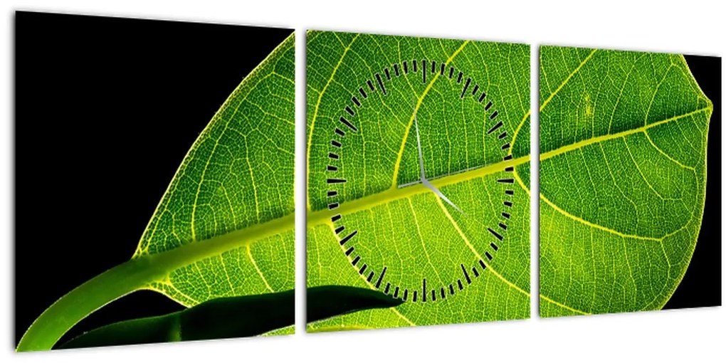 Tablou - frunză verde (cu ceas) (90x30 cm)